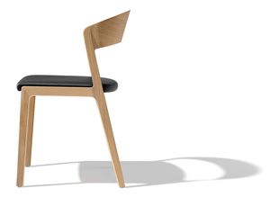 mylon chair with backrest made from a piece of solid wood