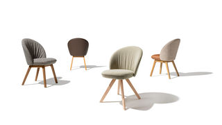 flor chairs in walnut, oak, alder and beech heartwood by TEAM 7